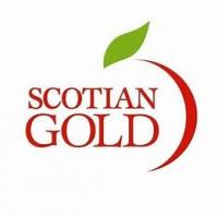 Scotian Gold Logo 