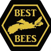 best bees