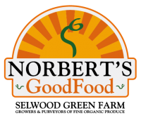 norberts